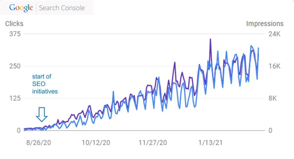 seo expert & specialish